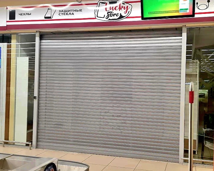 Роллетные ворота DoorHan в Тамбове с установкой